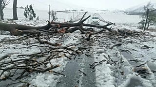 Afrique du Sud : une importante vague de froid perturbe les déplacements