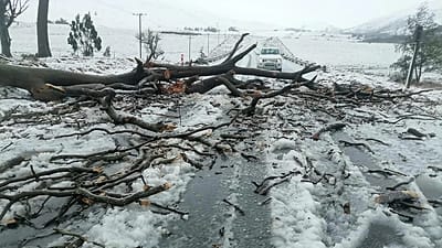 Afrique du Sud : une importante vague de froid perturbe les déplacements