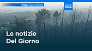 Le notizie del giorno | 10 agosto 2026 - Serale