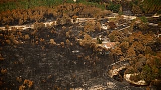 Une photo prise depuis l’hélicoptère de coordination des secours de la Sécurité civile montre des zones ravagées par des incendies de forêt près du Porge, vendredi 31 juillet