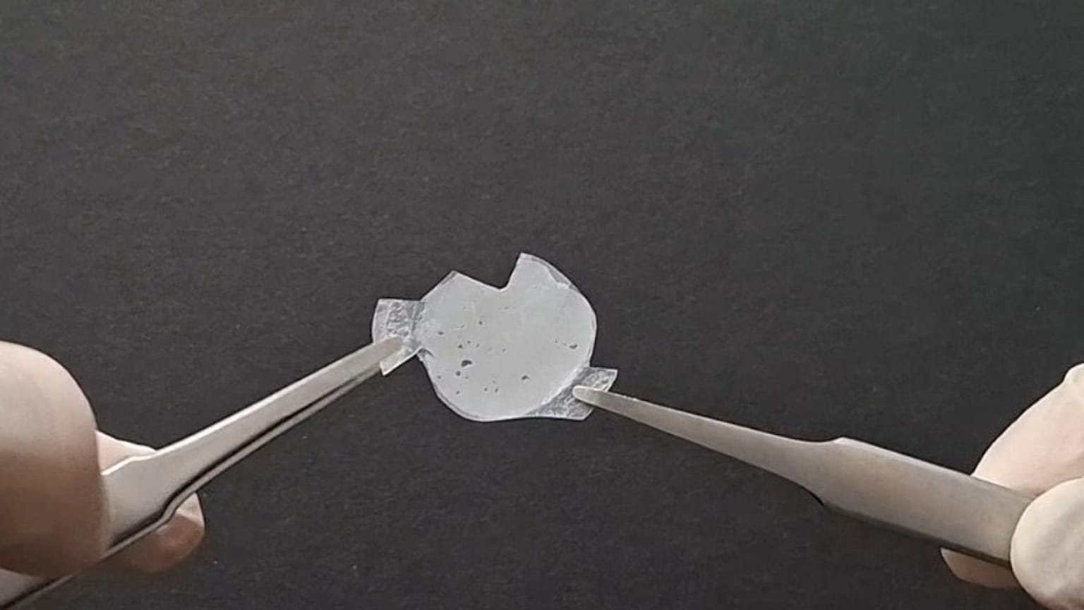 Aufnahme des vom CSIC entwickelten Polymers