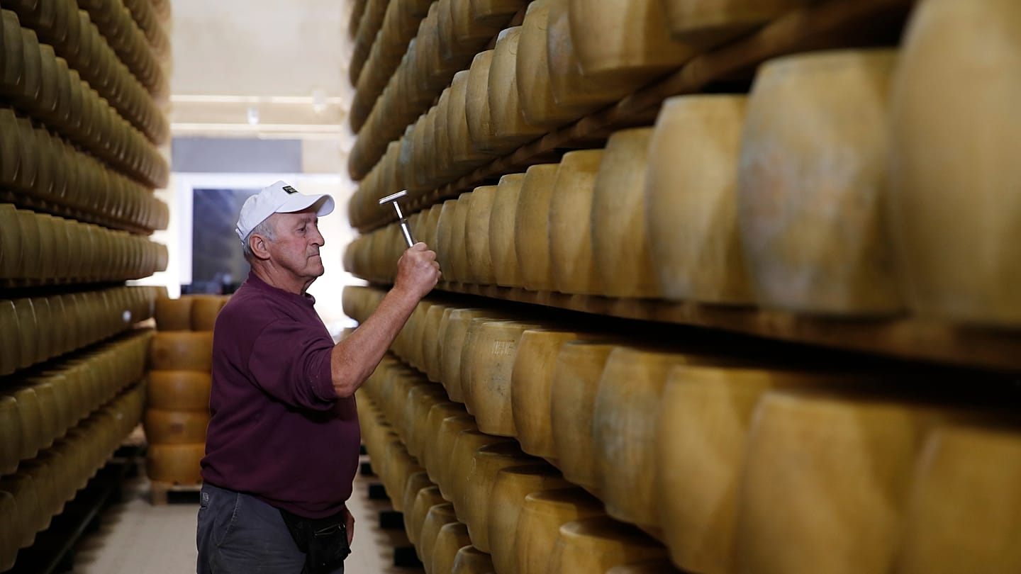 Extreme heat strains Italy's 'cheese banks,' where Parmigiano backs farm loans