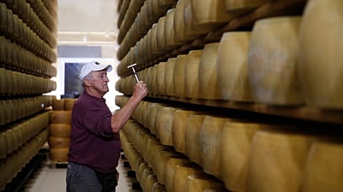 FILE. Parmigiano Reggiano cheese producer Gianni Bertinelli inspects wheels stored in Noceto, near Parma, Italy, Oct. 2019