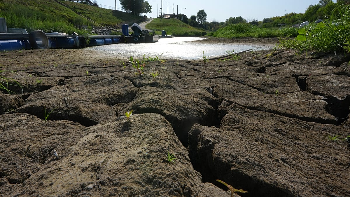 Italy: Po River runs low amid prolonged heat and drought
