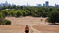 A person walking through Primrose Hill, as temperatures are expected to reach up to 33 °C in parts of the UK, in north London Sunday, Aug. 9, 2026.