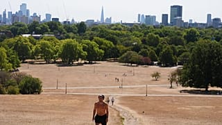 A person walking through Primrose Hill, as temperatures are expected to reach up to 33 °C in parts of the UK, in north London Sunday, Aug. 9, 2026.