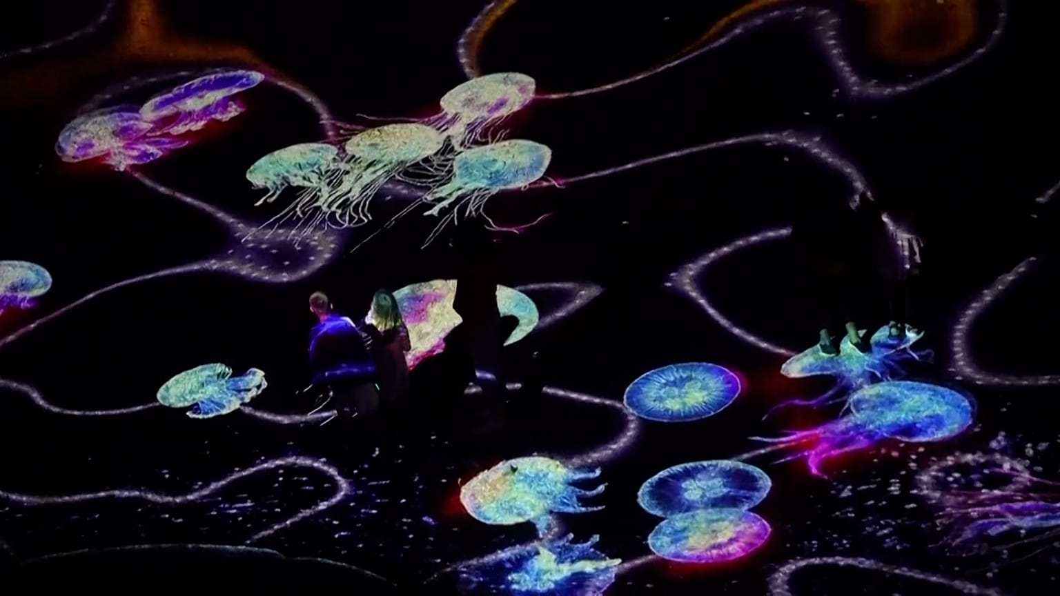 "Courants infinis" de MP-STUDIO, avec des lumières projetées sur le rivage et la mer à marée, tandis que les visiteurs regardent le spectacle