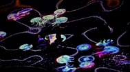 «Endless Currents» του MP-STUDIO, με φωτιστικές προβολές στην ακτή και στην παλίρροια καθώς οι επισκέπτες παρακολουθούν το σόου