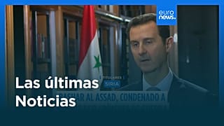 Últimas noticias | 11 agosto 2026 - Tarde