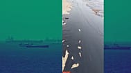تصویر آلودگی در سواحل قشم 