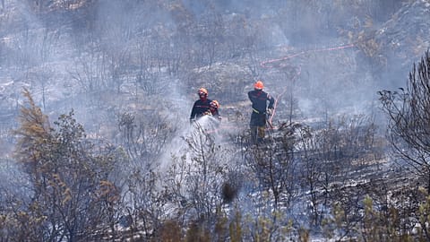 Firefighters work to extinguish a wildfire in Cotignac, France, 22 July 2026