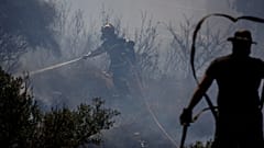 Φωτογραφία αρχείου