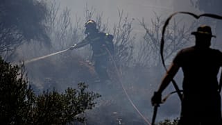 Φωτογραφία αρχείου