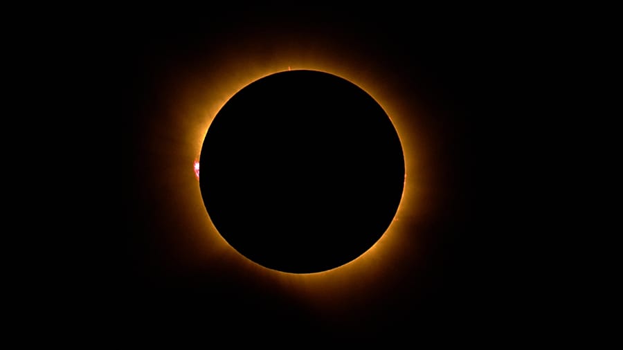Crowds gather in Algeria to watch near-total solar eclipse