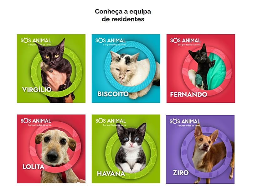 الحيوانات المقيمة في SOS Animal والمتاحة للتبنّي