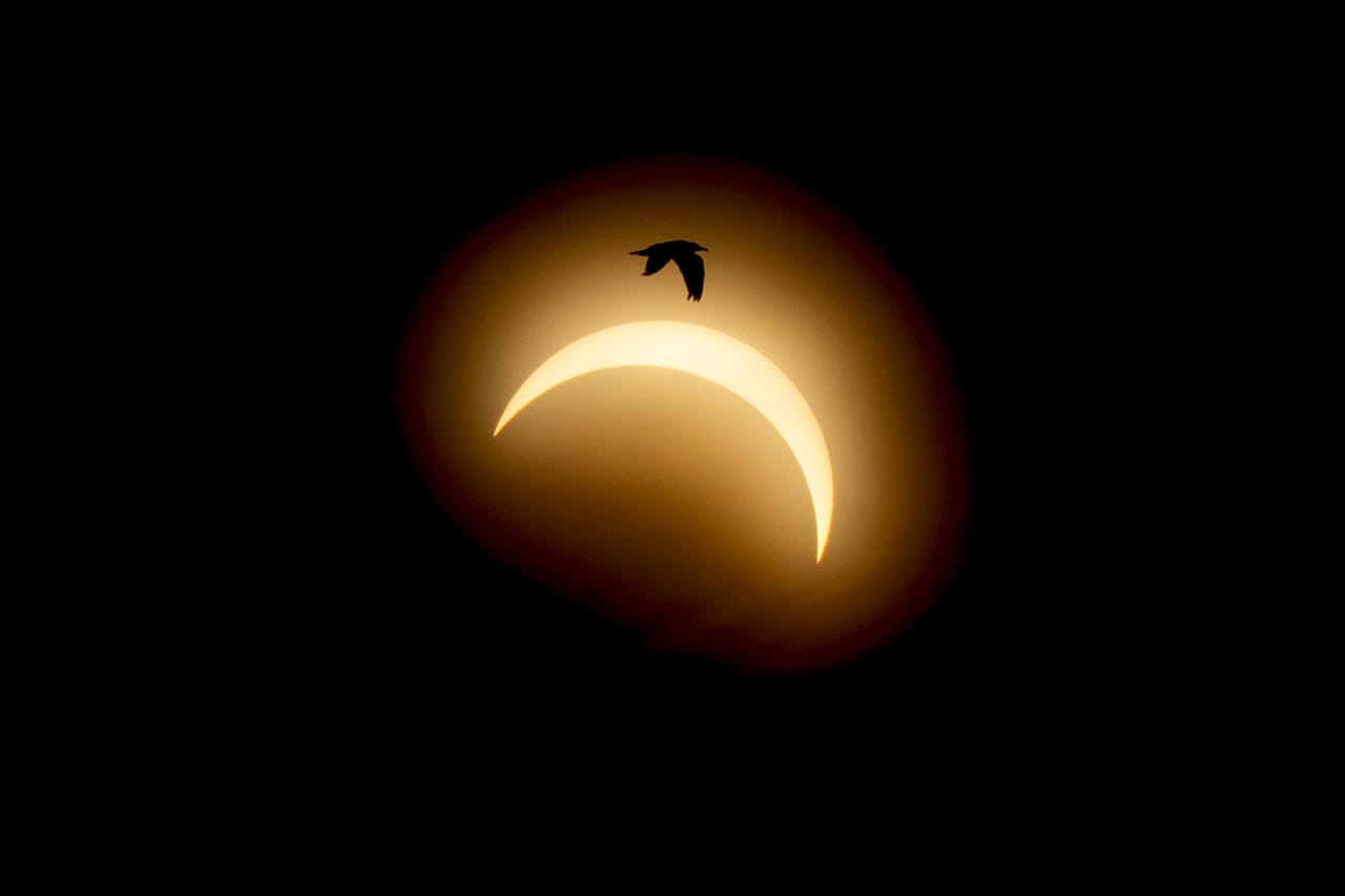 Die Sonnenfinsternis über dem Mariager Fjord in Dänemark