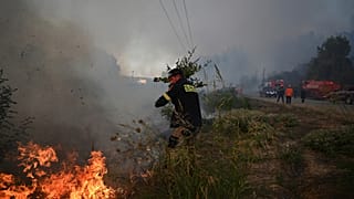 Μάχη με τις φλόγες στη μεγάλη φωτιά της Χαλκιδικής