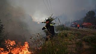 A volunteer firefighter uses a tree branch to extinguish flames during a wildfire in Siviri, 13 August, 2026