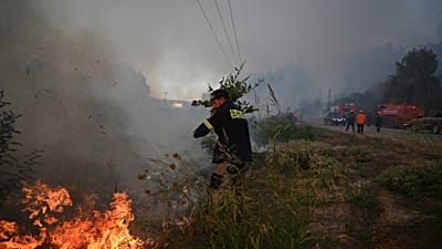 A volunteer firefighter uses a tree branch to extinguish flames during a wildfire in Siviri, 13 August, 2026