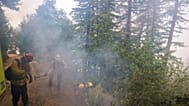 Archivo: Los Bomberos extinguen focos secundarios de un incendio forestal, el martes 11 de agosto de 2026.