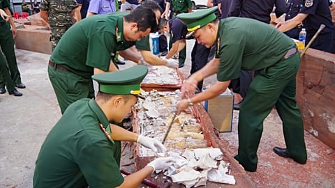 Police inspect a log that was being used to conceal 1.2-tonness of trafficked ivory at Quy Nhon port, 12 August, 2026