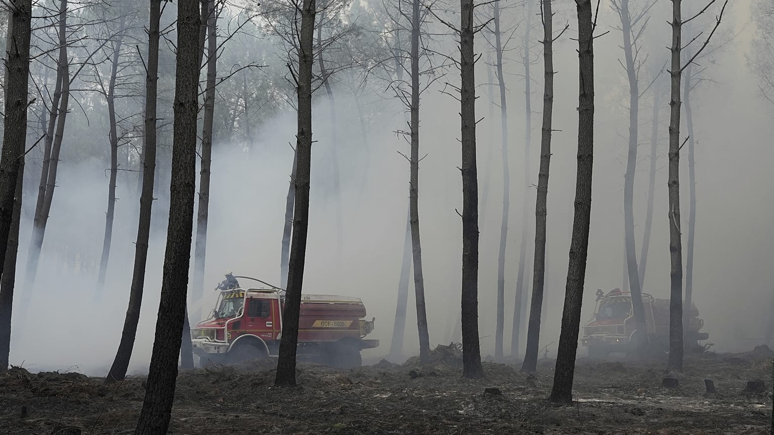 Les landes ont été victimes d'importants feux de forêts sur la saison d'été 2026