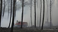 Les landes ont été victimes d'importants feux de forêts sur la saison d'été 2026