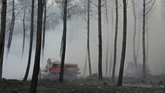 Les landes ont été victimes d'importants feux de forêts sur la saison d'été 2026
