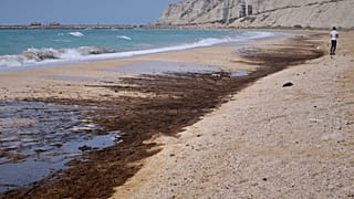 تنگه هرمز