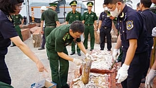 Vietnam : saisie de 1,2 tonne d'ivoire expédiée illégalement depuis la RDC