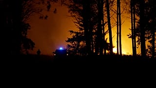 Landes: un incendie de forêt force 525 personnes à fuir
