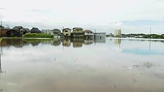 Champ inondé après de fortes pluies dans la préfecture de Chiba, à l'est de Tokyo