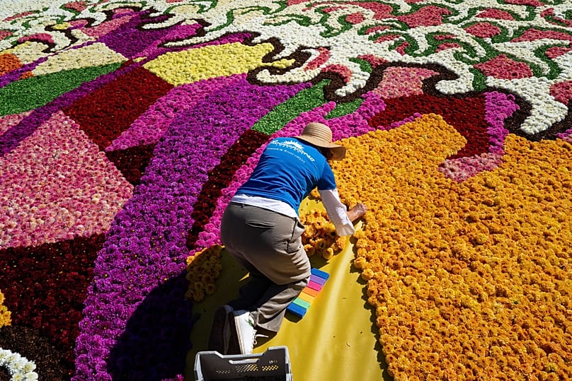 Freiwillige setzen Dahlien in einen riesigen, von Hokusai inspirierten Blumenteppich auf dem historischen Grand-Place in Brüssel, Donnerstag, 13. August 2026.