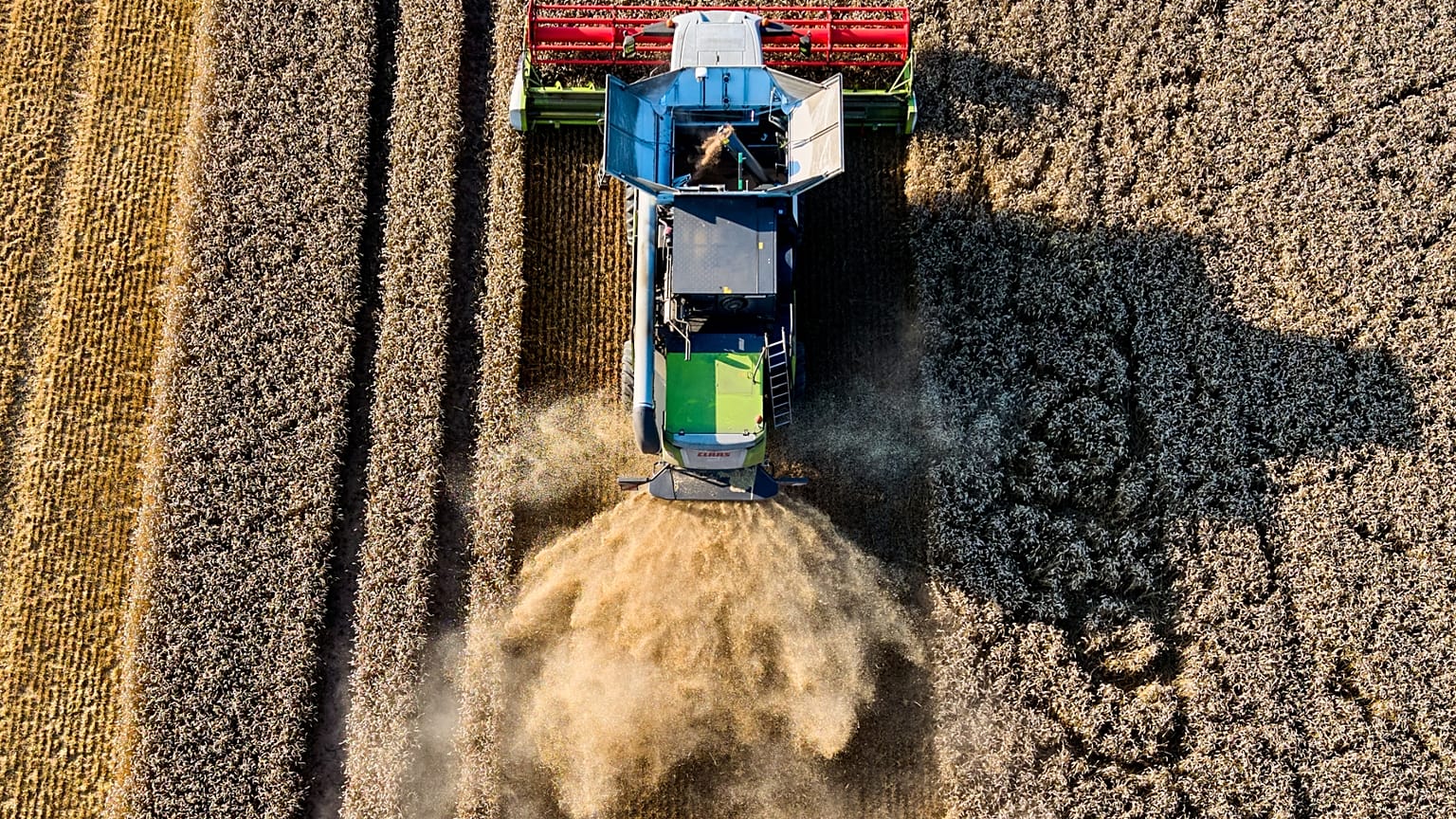 Sorge um Ernteausfall: Bauernverband fordert staatliche Unterstützung