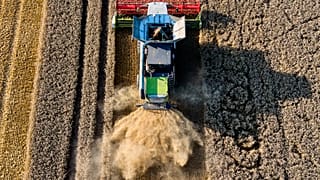Sorge um Ernteausfall: Bauernverband fordert staatliche Unterstützung