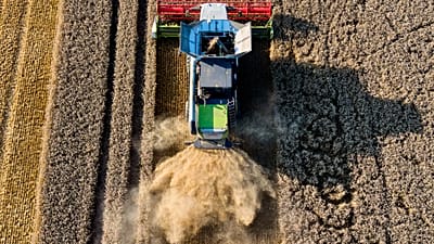 Sorge um Ernteausfall: Bauernverband fordert staatliche Unterstützung