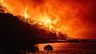 A wildfire approaches a beach on the Adriatic coast near Omis, southern Croatia, early Friday, Aug. 14, 2026. 