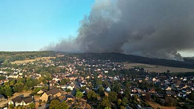 Dichter Rauch zieht am Freitag, 14. August 2026, von einem Waldbrand im Hürtgenwald über den Ortsteil Gey.