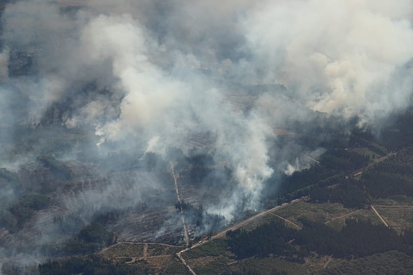 Rauch steigt am Freitag, 14. August 2026, über dem Hürtgenwald im Kreis Düren auf.