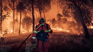 La UME de camino al frente del fuego