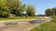 Ein ausgetrockneter Altwasser-Nebenarm an der Donau 