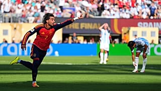 فران تورس