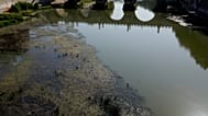 Immagine del Tevere ai minimi durante i giorni di gran caldo