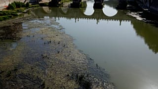 Immagine del Tevere ai minimi durante i giorni di gran caldo
