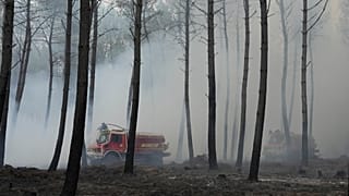 Des pompiers s'efforcent d'éteindre un incendie près de Blagon, dans le sud-ouest de la France, ce vendredi 31 juillet 2026.