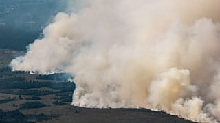 Rauch von einem massiven Waldbrand in der belgischen Region Hohes Venn ist am Sonntag, den 16. August 2026, von Deutschland aus zu sehen.