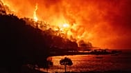 A wildfire approaches a beach on the Adriatic coast near Omiš, 14 August, 2026
