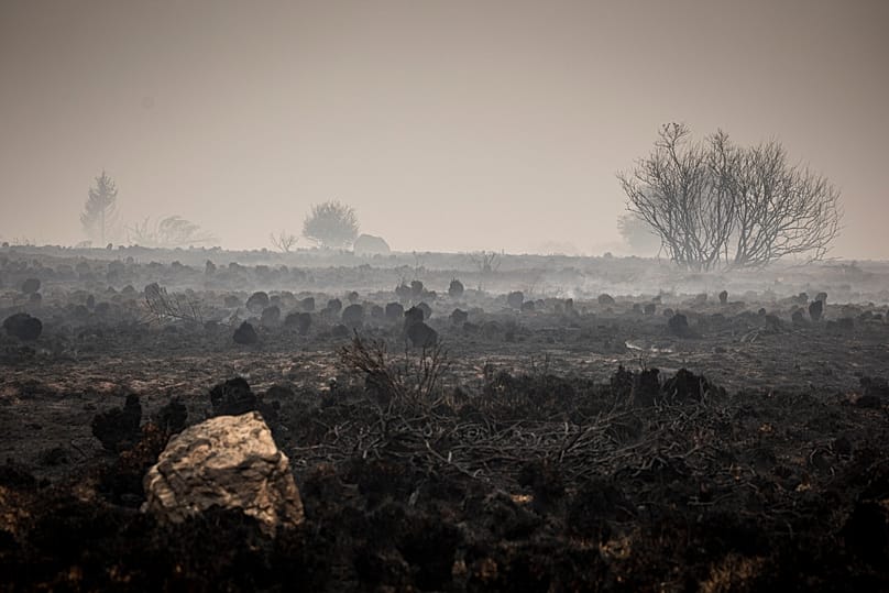 Smoke rises from burned-out parts of the Hautes Fagnes near Waimes, 16 August, 2026