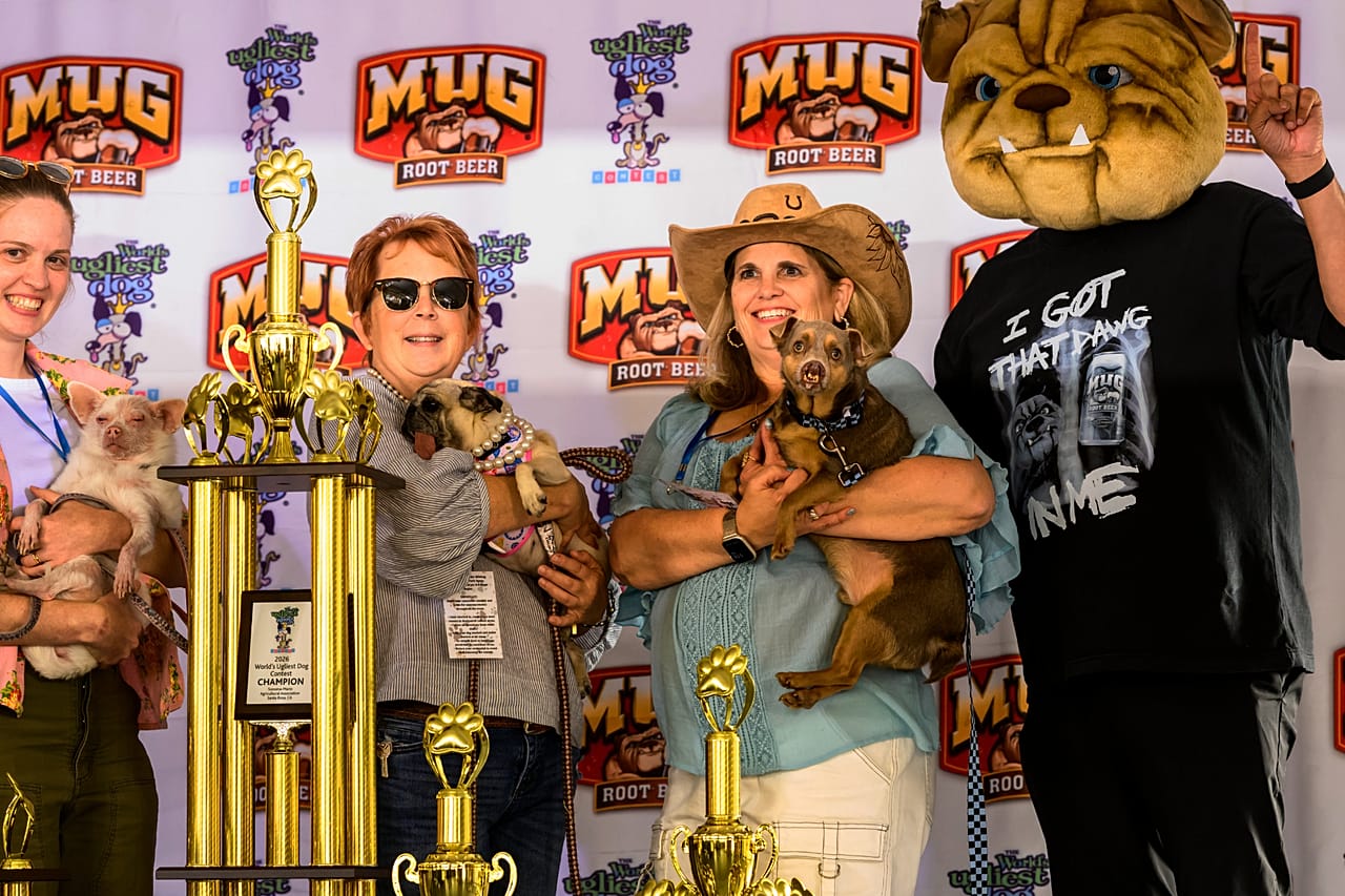 Os vencedores posam com os seus troféus durante o Concurso do Cão Mais Feio do Mundo, na Feira do Condado de Sonoma, em Santa Rosa, Califórnia, na sexta-feira, 14 de agosto de 2026.
