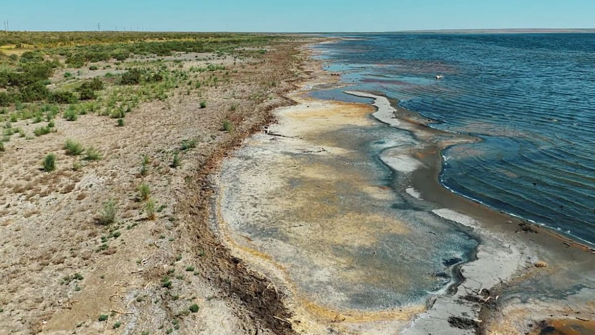 From desalination to irrigation: How countries are adapting to water scarcity